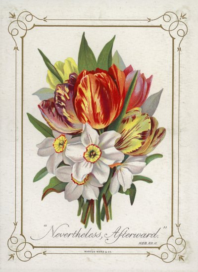 Posy of Flowers by English School